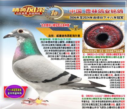 蹫ھֱ蹫ھý.ƽϲھ