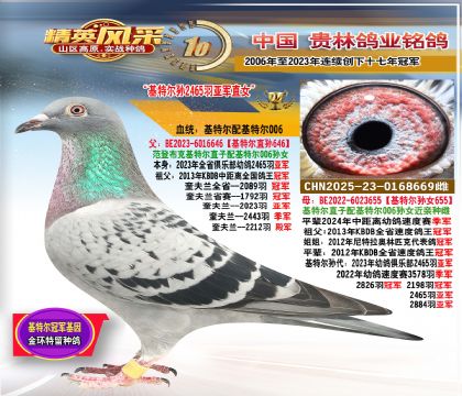 ضֱضŮ. 2465ǾֱŮ