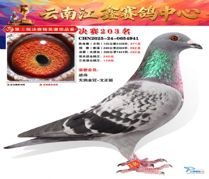 禄劝江鑫决赛203名