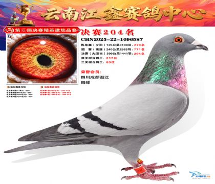 禄劝江鑫决赛204名