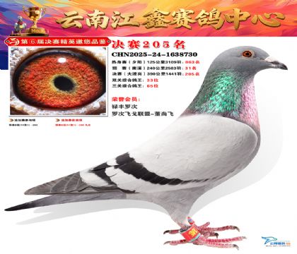 禄劝江鑫决赛205名