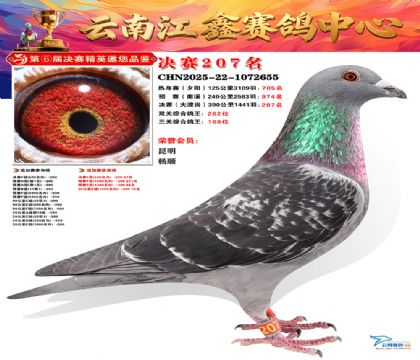 禄劝江鑫决赛207名