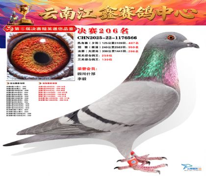 禄劝江鑫决赛206名