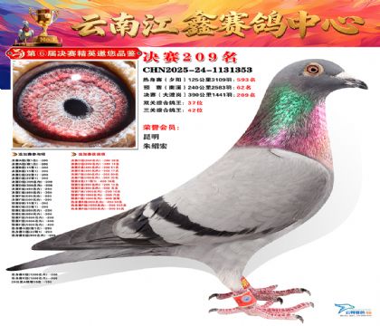 禄劝江鑫决赛209名