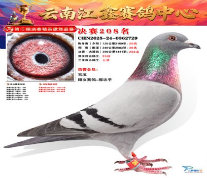 禄劝江鑫决赛208名