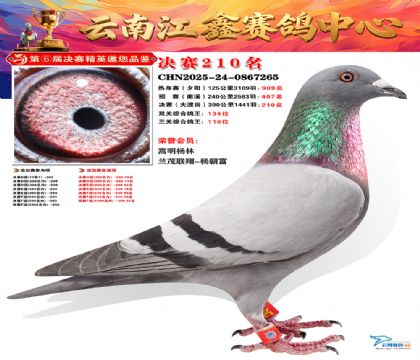 禄劝江鑫决赛210名