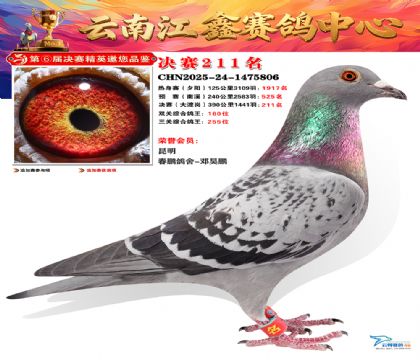 禄劝江鑫决赛211名