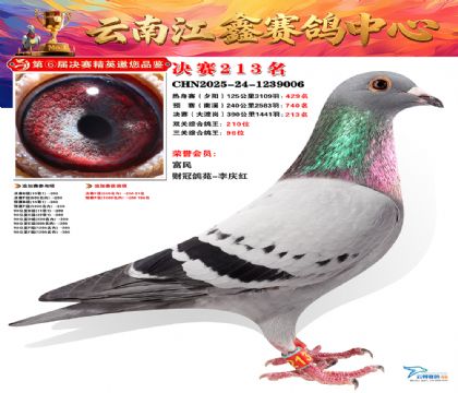 禄劝江鑫决赛213名