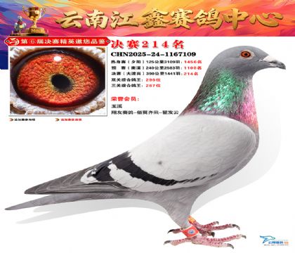 禄劝江鑫决赛214名