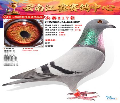 禄劝江鑫决赛217名