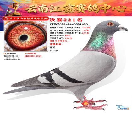 禄劝江鑫决赛221名