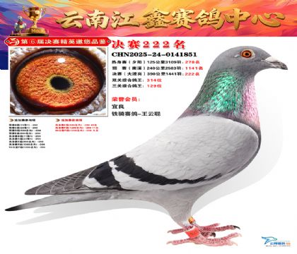 禄劝江鑫决赛222名