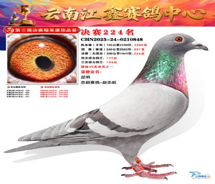 禄劝江鑫决赛224名