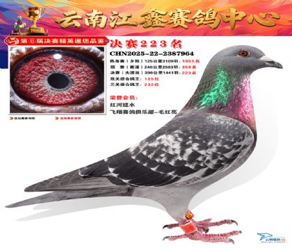 禄劝江鑫决赛223名