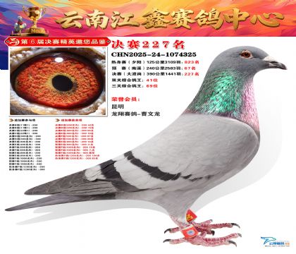 禄劝江鑫决赛227名