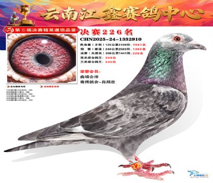 禄劝江鑫决赛226名