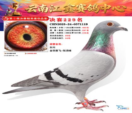 禄劝江鑫决赛229名