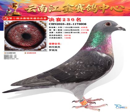 禄劝江鑫决赛230名