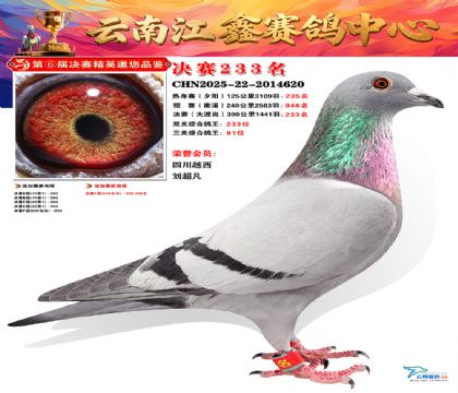 禄劝江鑫决赛233名