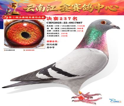 禄劝江鑫决赛237名