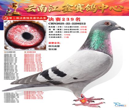 禄劝江鑫决赛239名