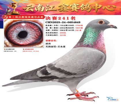 禄劝江鑫决赛241名