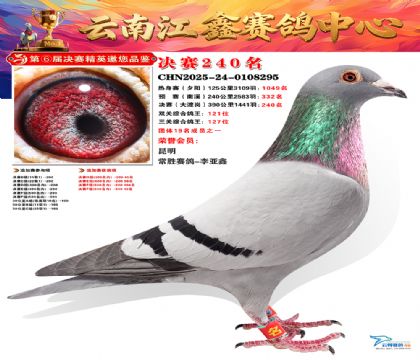 禄劝江鑫决赛240名