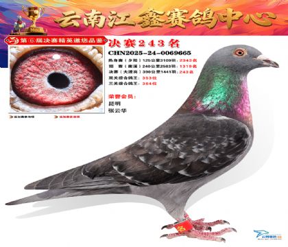 禄劝江鑫决赛243名