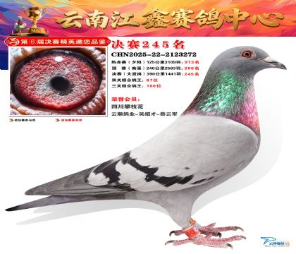 禄劝江鑫决赛245名