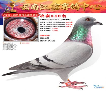 禄劝江鑫决赛246名