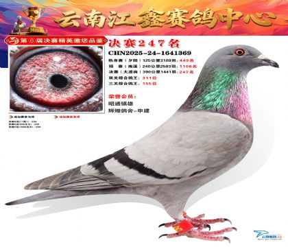 禄劝江鑫决赛247名