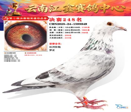 禄劝江鑫决赛248名