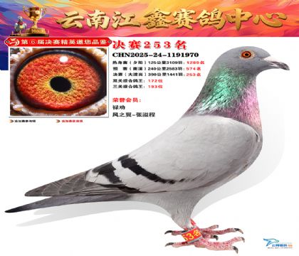 禄劝江鑫决赛253名