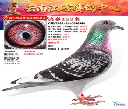 禄劝江鑫决赛252名