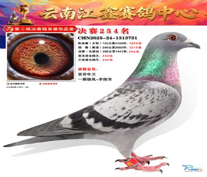 禄劝江鑫决赛254名