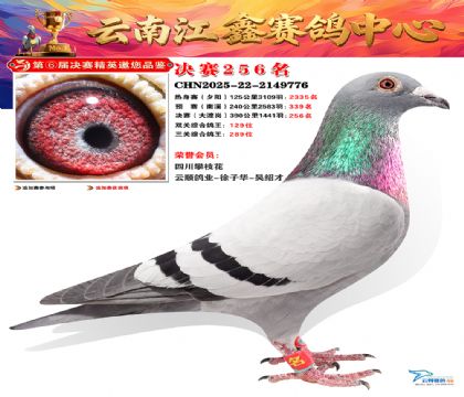 禄劝江鑫决赛256名