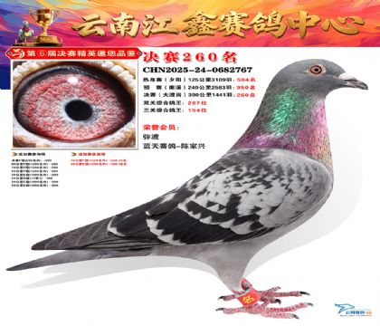 禄劝江鑫决赛260名