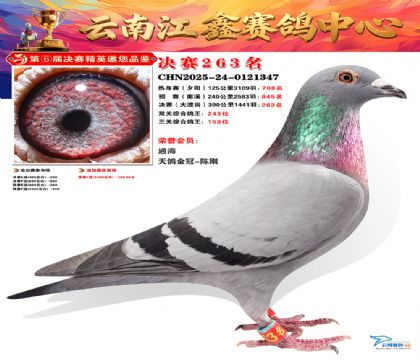 禄劝江鑫决赛263名