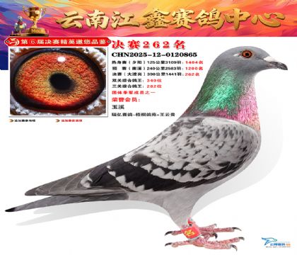 禄劝江鑫决赛262名