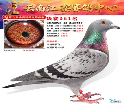 禄劝江鑫决赛261名