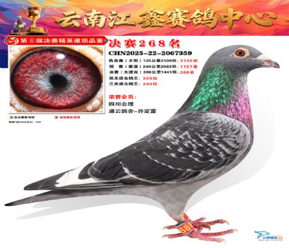 禄劝江鑫决赛268名