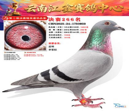 禄劝江鑫决赛266名