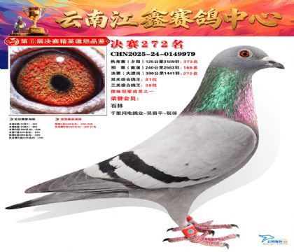 禄劝江鑫决赛272名