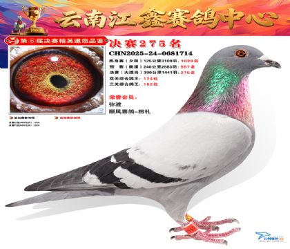 禄劝江鑫决赛275名