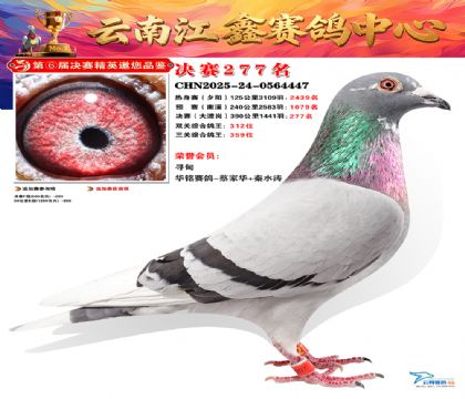 禄劝江鑫决赛277名