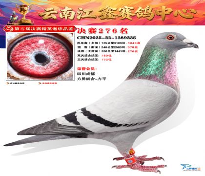 禄劝江鑫决赛276名