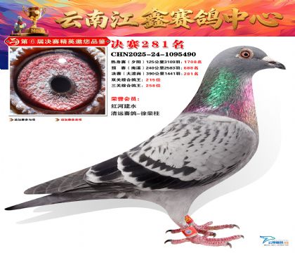 禄劝江鑫决赛281名