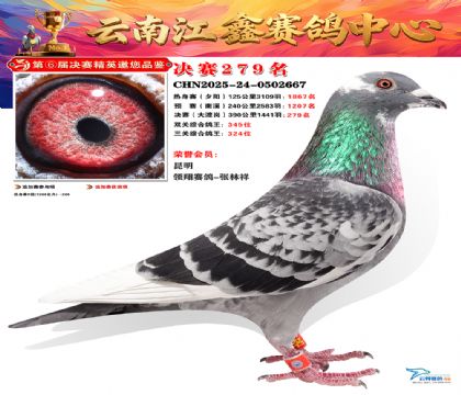 禄劝江鑫决赛279名