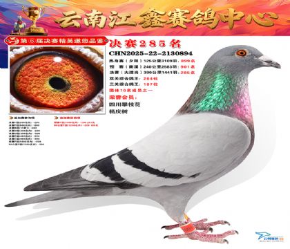 禄劝江鑫决赛285名