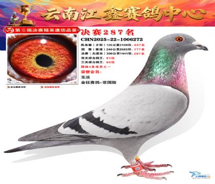 禄劝江鑫决赛287名